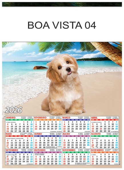 Boa Vista 4