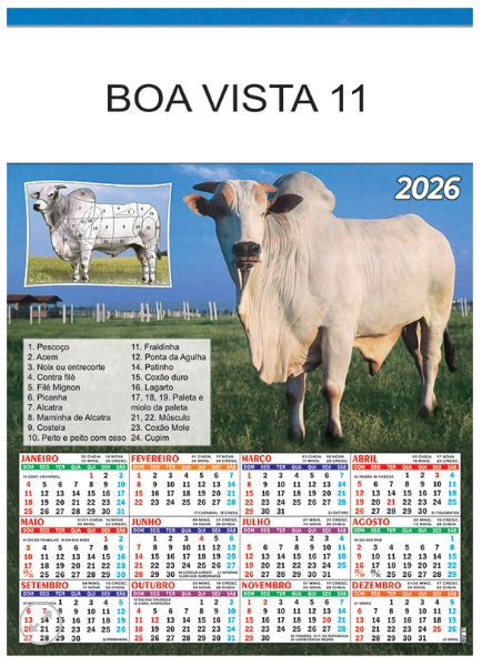 Boa Vista 11