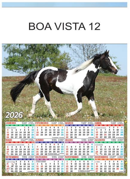 Boa Vista 12