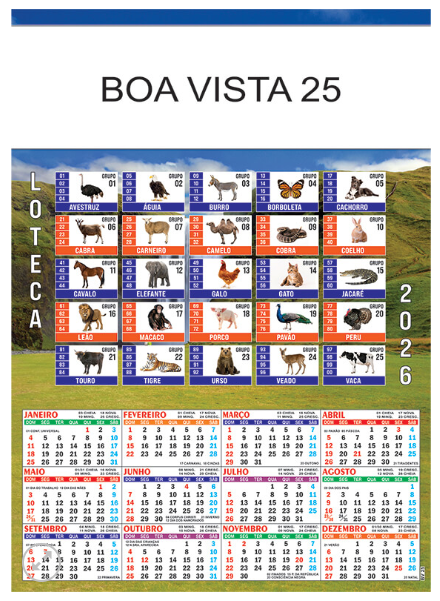 Boa Vista 25