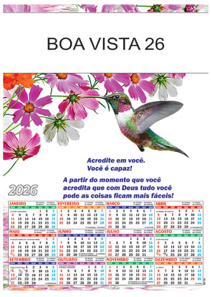 Boa Vista 26