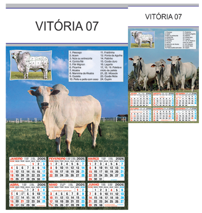 Vitória 07